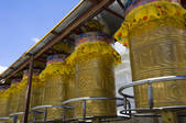 tkf005_2308755