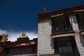 tkf005_2308769