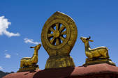 tkf005_2308773