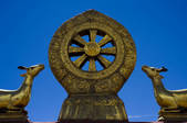 tkf005_2308776