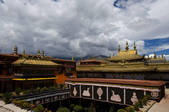 tkf005_2308778