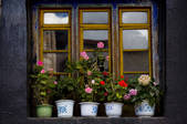 tkf005_2308796