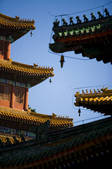 tkf005_2308941