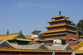 tkf005_2308965
