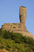 tkf005_2308976