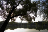 tkf005_2308986
