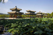tkf005_2309010