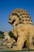 tkf005_2309026