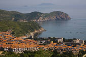 tkf005_2309288