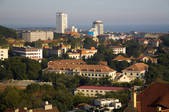 tkf005_2309296
