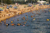 tkf005_2309323