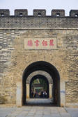 tkf005_2309362