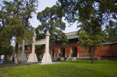 tkf005_2309368