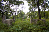 tkf005_2309703