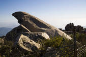 tkf005_2309752