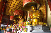 tkf005_2309860