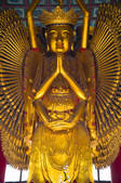tkf005_2309862
