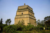 tkf005_2309907