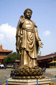 tkf005_2310055