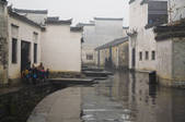 tkf005_2310798