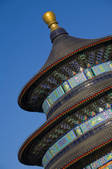 tkf005_2311472
