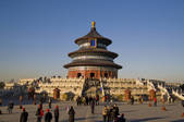 tkf005_2311474