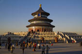 tkf005_2311478
