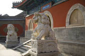 tkf005_2311542