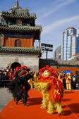 tkf005_2312678