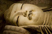 tkf005_2313117