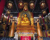 tkf005_2313493