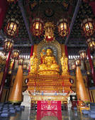 tkf005_2313494