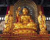 tkf005_2313495