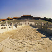 tkf005_2313504