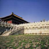 tkf005_2313507