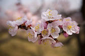 tkf005_2313549
