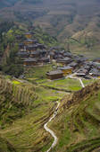 tkf005_2313816