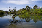 tkf005_2314254