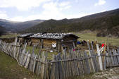 tkf005_2314598