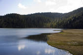 tkf005_2314600