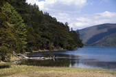 tkf005_2314602