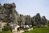 tkf005_2314710