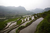 tkf005_2315246