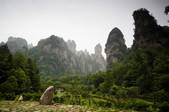 tkf005_2315363