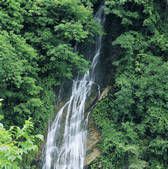 tkf005_2315964