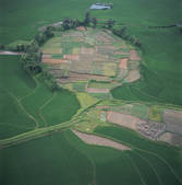tkf005_2316000