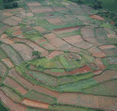 tkf005_2316001