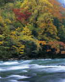 tkf005_2316025
