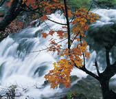 tkf005_2316027