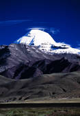 tkf005_2316121
